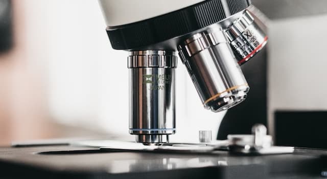 Società Domande: A cosa serve un microscopio?