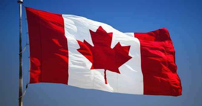 Geografia Domande: Che tipo di foglia c'è sulla bandiera canadese?