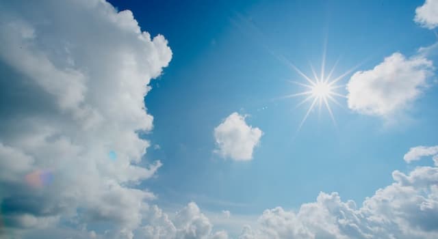 Doğa Trivia Sorusu: Fotosentez Hangi Canlılar Tarafından Kullanılır?