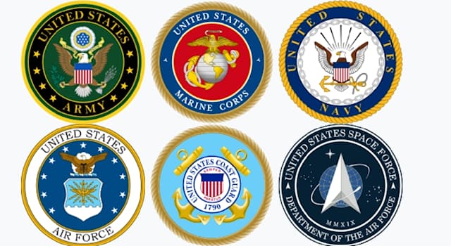 Gesellschaft Wissensfrage: Wie heißt die Verwundetenauszeichnung der Streitkräfte der USA?