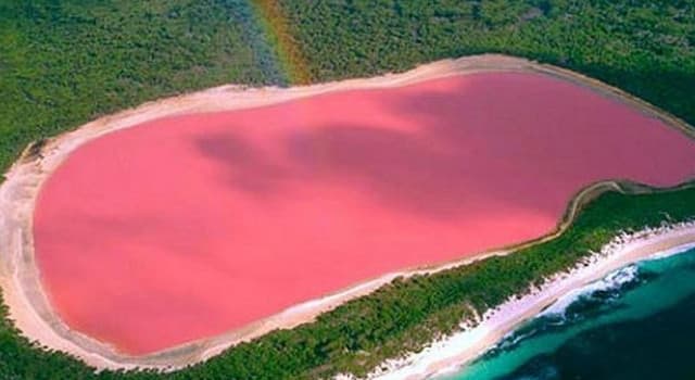 Naturaleza Pregunta Trivia: ¿A qué se debe el peculiar color de este lago de Senegal?