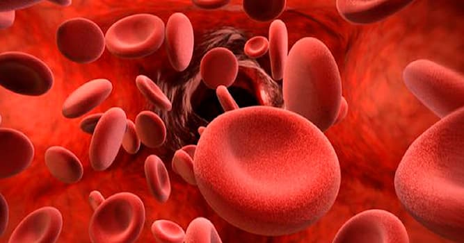 Scienza Domande: Cosa rende possibile la coagulazione del sangue?