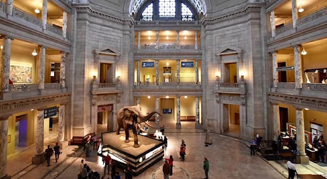 Geografía Pregunta Trivia: ¿En qué estado de Estados Unidos se localiza el Museo Nacional de Historia Natural?