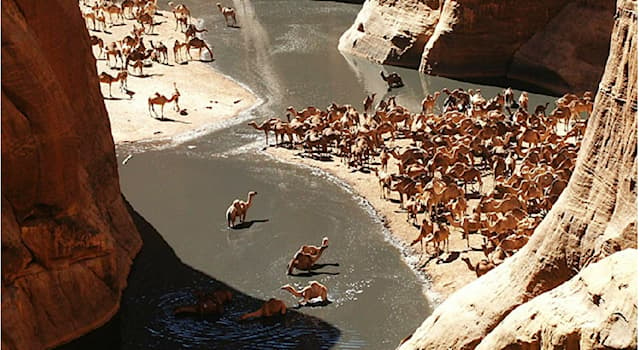Geographie Wissensfrage: In welcher Wüste befindet sich die Wasserstelle "Guelta d’Archei"?