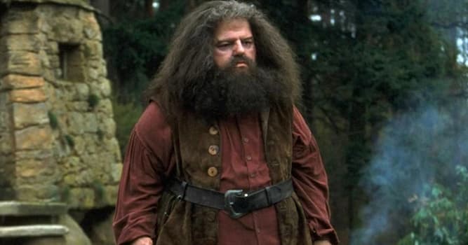 Filmy Pytanie-Ciekawostka: Jak miał na imię Hagrid, bohater serii o Harrym Potterze, strażnik kluczy i gajowy w Hogwarcie?