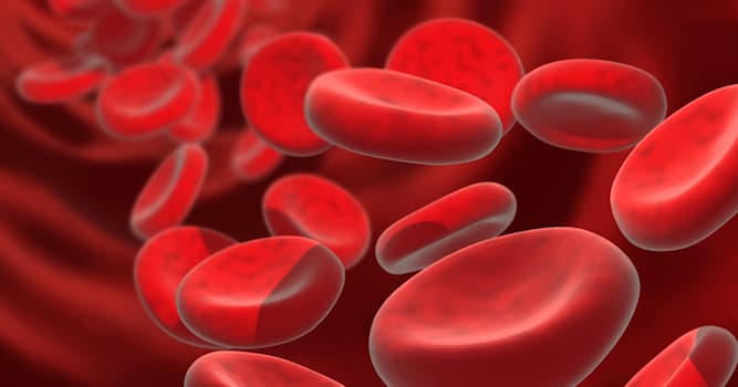 Scienza Domande: Quale delle seguenti NON è una funzione del sangue?