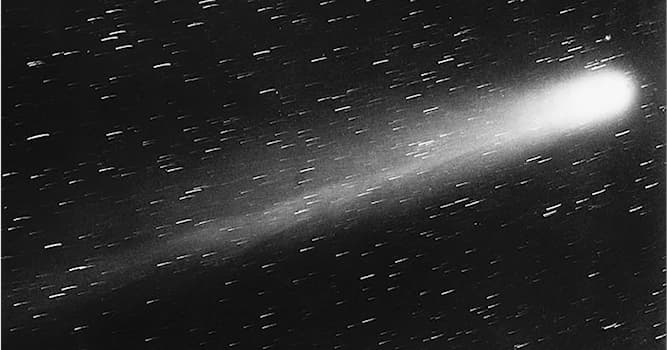 Scienza Domande: Quale è il periodo di rivoluzione della cometa di Halley?