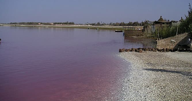 Geografia Pytanie-Ciekawostka: W jakim państwie znajduje się różowe jezioro Lac Rose?