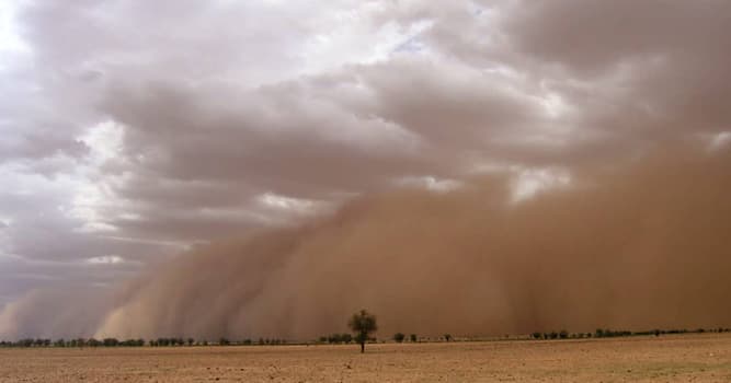 Geographie Wissensfrage: Was ist der Harmattan?