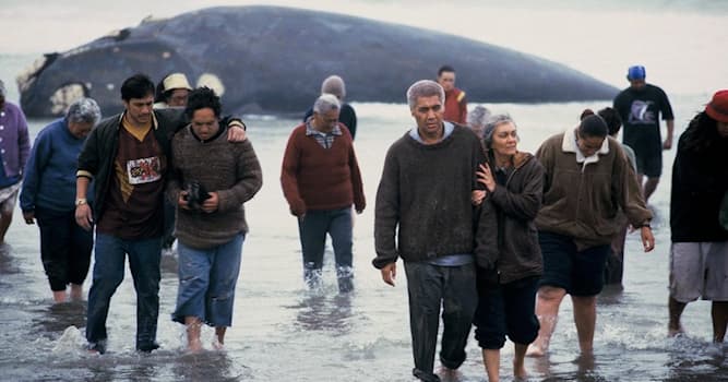 Film & Fernsehen Wissensfrage: Wer ist im gleichnamigen Film der "Whale Rider"?