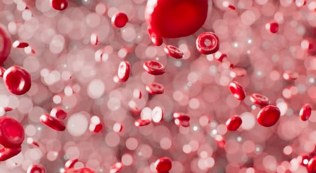 Сiencia Pregunta Trivia: ¿Cuál de las opciones se corresponde con dos tipos de células sanguíneas?