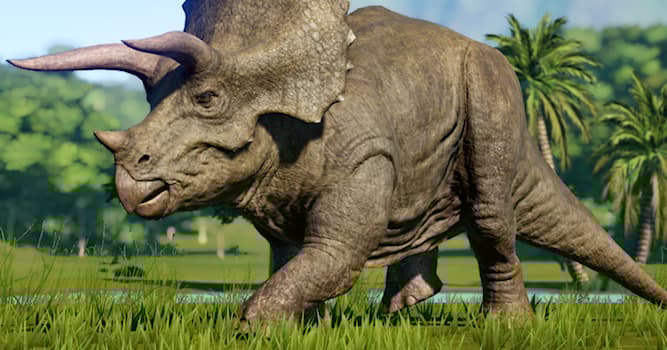 Nature Trivia Question: What type of food did Triceratops eat?