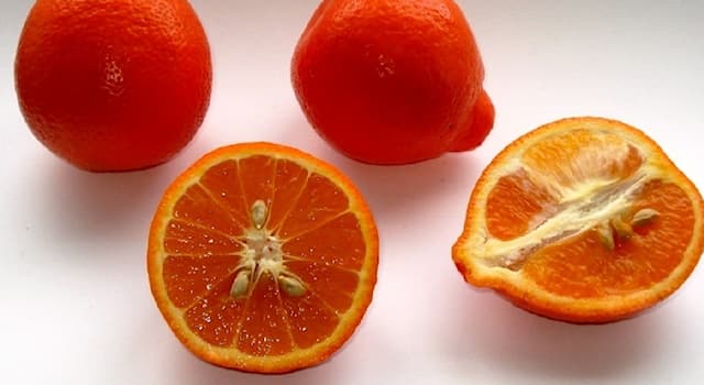 Natur Wissensfrage: Wie wird die Hybride aus Grapefruit und Mandarine genannt?