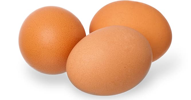 Bilim Trivia Sorusu: Testis Nedir?