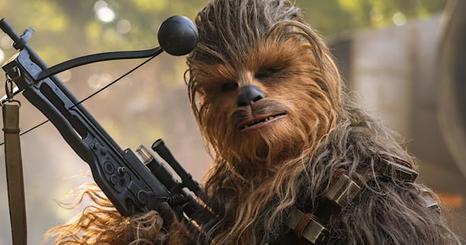 Films & TV Trivia Vraag: Chewbacca uit Star Wars is een ?