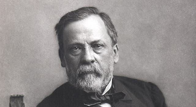 historia Pytanie-Ciekawostka: Czego twórcą był Louis Pasteur?