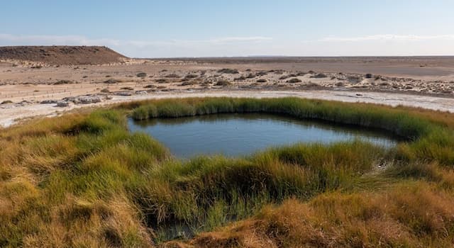 Geografía Pregunta Trivia: ¿En qué país se encuentra la Gran Cuenca Artesiana?