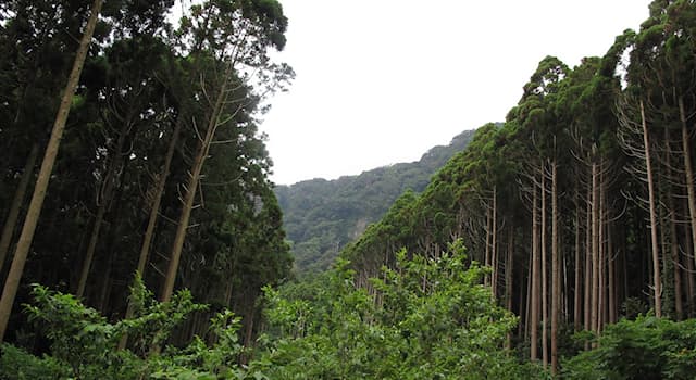 Geographie Wissensfrage: Zu welchem Land gehören die Izu-Inseln?