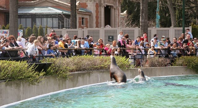 natura Pytanie-Ciekawostka: W jakim kraju znajduje się Bronx Zoo?