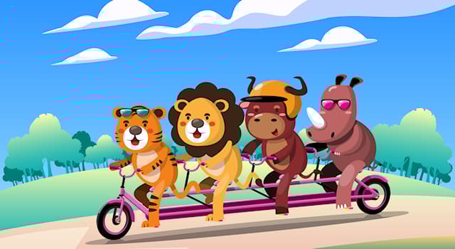 Spor Trivia Sorusu: Binicilik Hobisi: Hangi Hayvan Binilir?