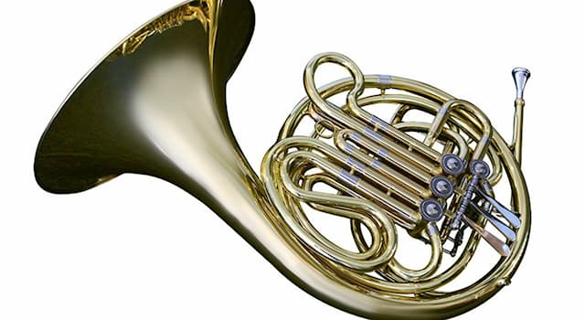 Culture Trivia Question: What classification of instrument is the French horn?