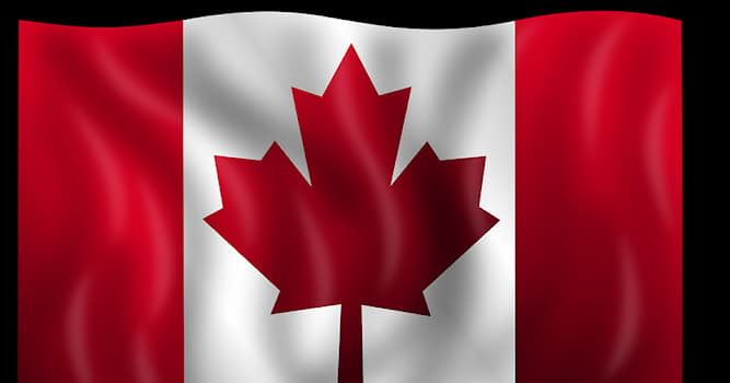 Naturaleza Pregunta Trivia: ¿Cúal es el árbol cuya hoja se encuentra en la bandera de Canadá?