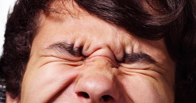 Сiencia Pregunta Trivia: ¿Cuántas veces al día parpadea un adulto en promedio?