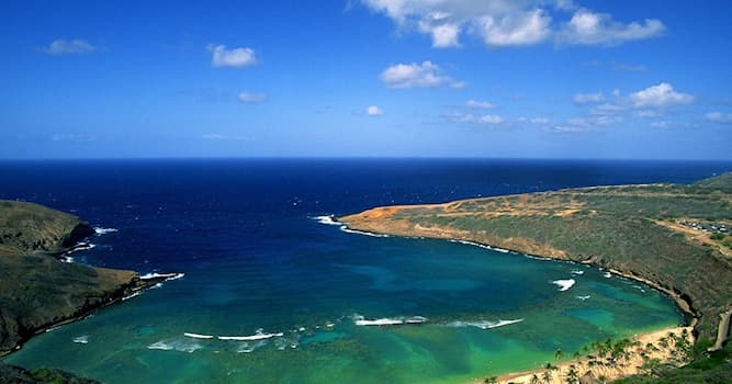 География Вопрос: Как называют часть океана, глубоко вдающуюся в сушу?