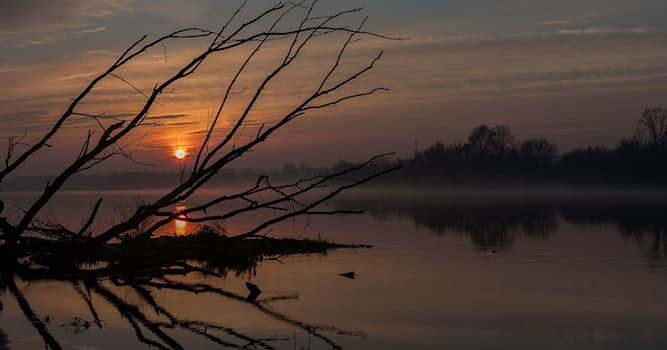 Geografia Pytanie-Ciekawostka: Przez które państwa przepływa rzeka Narew?