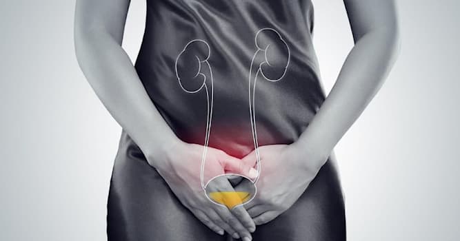 Bilim Trivia Sorusu: İdrar yolu enfeksiyonlarını hangi doktor tedavi eder?