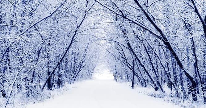 Природа Вопрос: С какого месяца начинается зима?