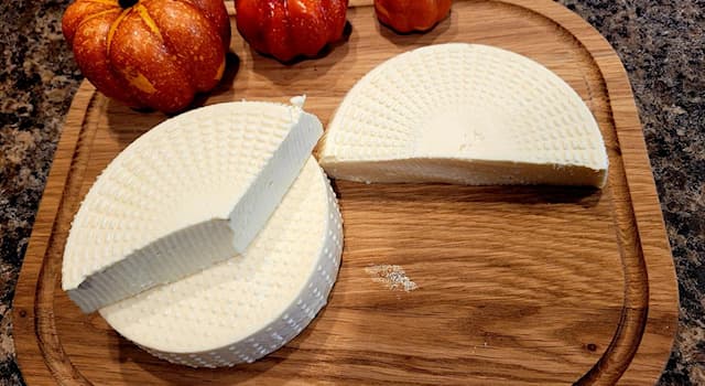 Culture Trivia Question: Telemea is a Romanian cheese traditionally made from the milk of which animal?