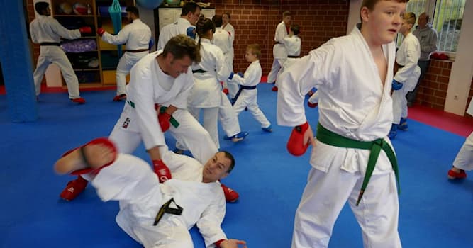 Sport Wissensfrage: Was bedeutet im Karate die Abkürzung SOK?