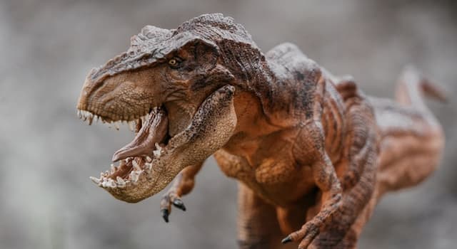 Geschiedenis Trivia Vraag: Waarvoor staat de "T" in T-rex?