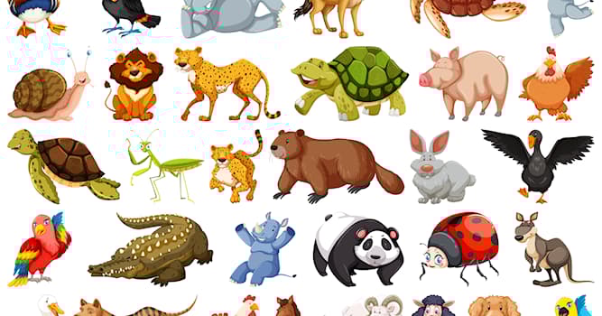 Natuur Trivia Vraag: Welke van deze dieren draagt zijn jongen in een buidel?