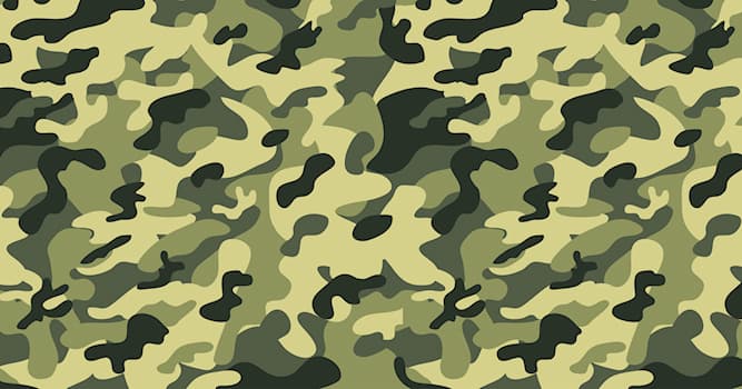 Society Trivia Question: Which of these is a military rank of the highest degree in most countries?