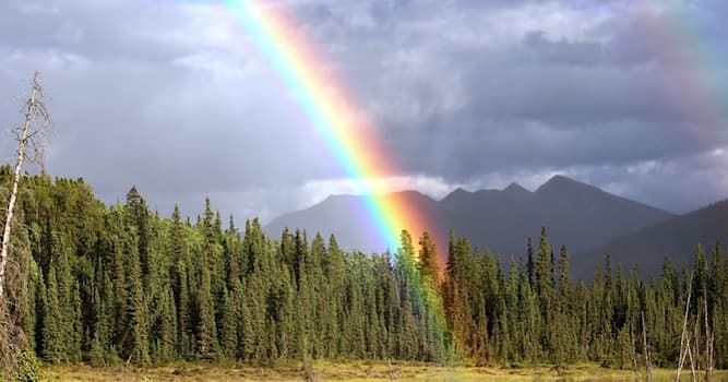 Natuur Trivia Vraag: Wanneer verschijnt een regenboog?