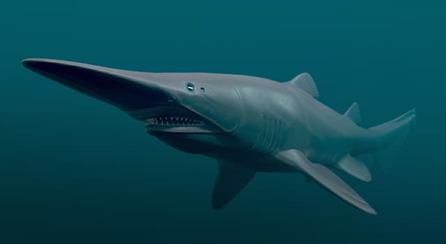 Naturaleza Pregunta Trivia: ¿Qué nombre común recibe el tiburón Mitsukurina owstoni?