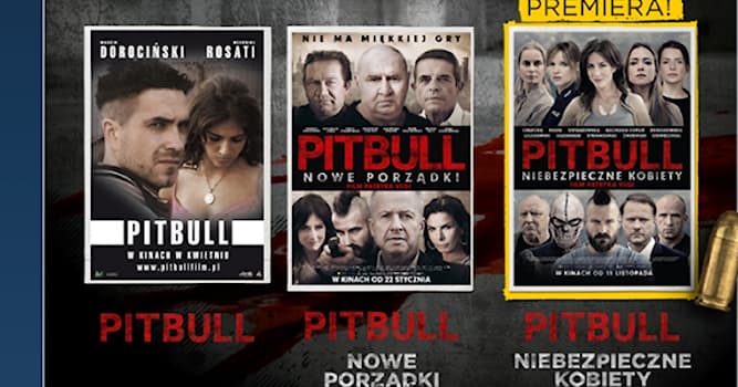 Kultura Pytanie-Ciekawostka: Jakiego pseudonimu używa postać, odgrywana przez Andrzeja Grabowskiego w serii filmów sensacyjnych ,,Pitbull"?