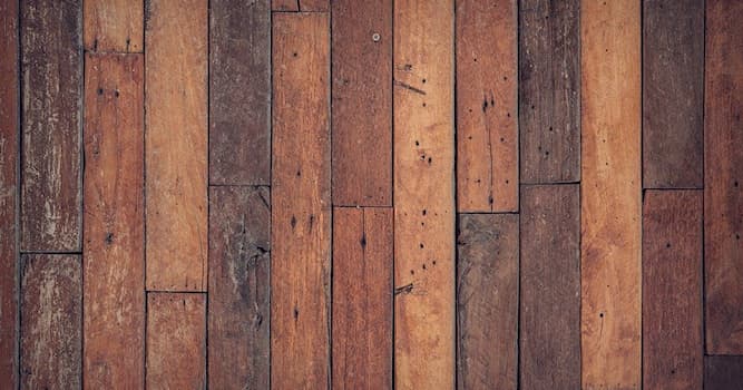 Общество Вопрос: Как называется данный вид деревянного покрытия?