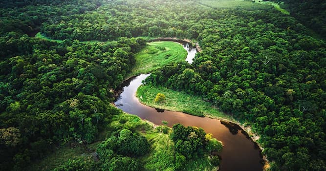 Geografía Pregunta Trivia: ¿Cuál es el río que atraviesa la selva brasileña?
