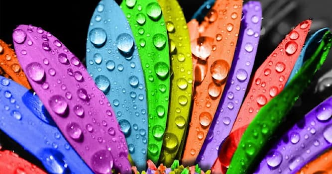 Natur Wissensfrage: Welche Farbe fehlt im Regenbogen?