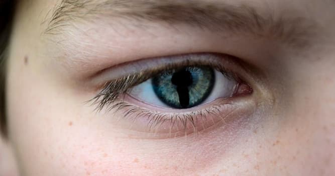 Wetenschap Trivia Vraag: Welke organen worden aangetast door coloboom?