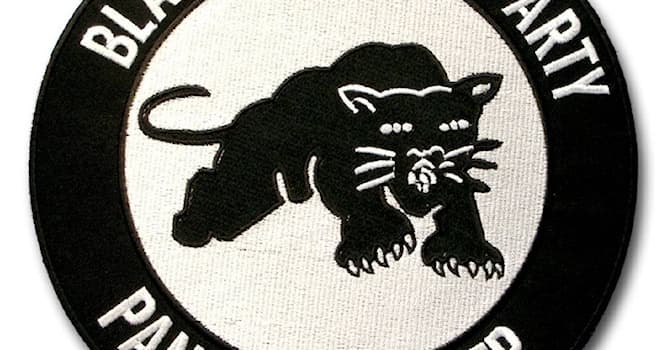 Geschichte Wissensfrage: Was war die "Black Panther Party"?