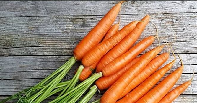 Gesellschaft Wissensfrage: Wenn Karotten direkt neben Tomaten gelagert werden, ...?