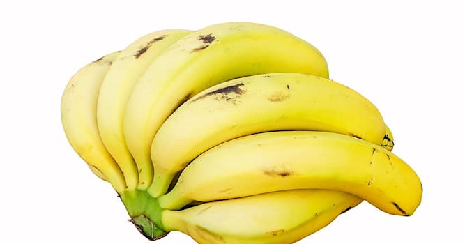 Natuur Trivia Vraag: Welke kleur hebben bananen voordat ze geel worden?