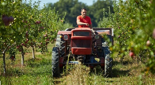 Wetenschap Trivia Vraag: Wat wordt in de pomologie bestudeerd?