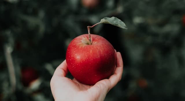 natura Pytanie-Ciekawostka: Gdzie w ciele mężczyzny jest jego "jabłko Adama"?