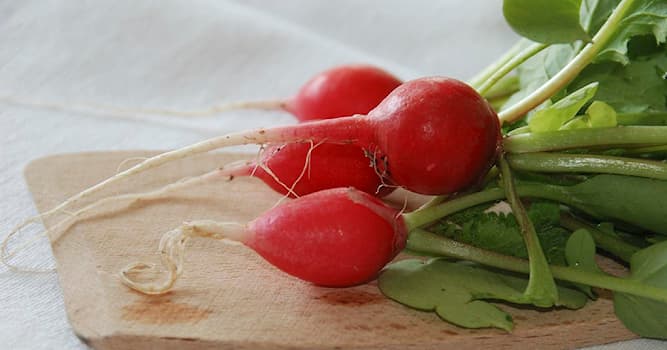 Natuur Trivia Vraag: Wat is op de foto te zien?