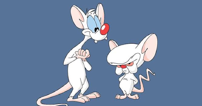 Films et télé Question: Quels animaux sont Pinky et le Brain ?